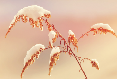 ​全网最全！观看灯光秀心情说说精选48条