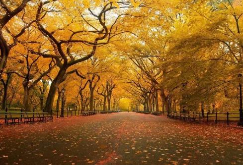 1689451543953149.png image.png