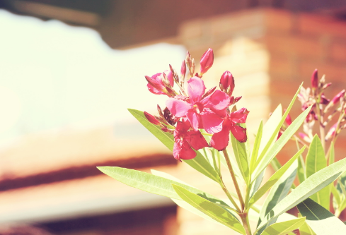 1689452039668403.png image.png