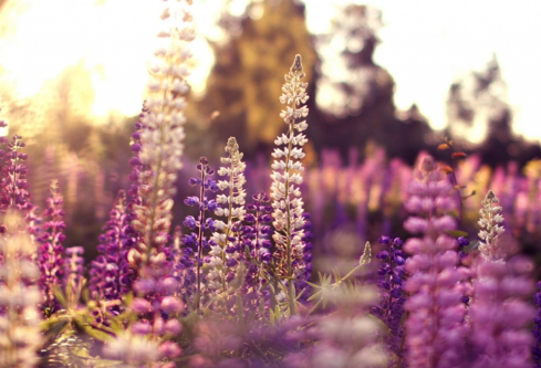 1689452370590856.png image.png