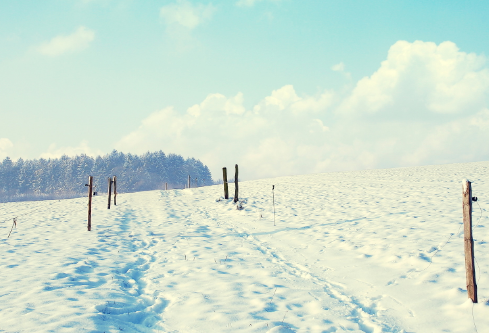 1689454355493778.png image.png