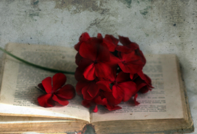 ​适合心情低落发说说的句子(精选99句)