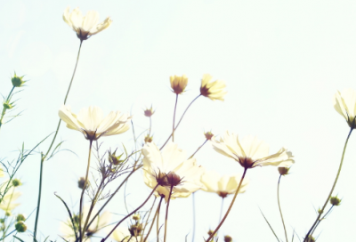 ​关于抖音很火的短句 抖音短句子说说心情(精选63句)