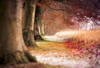 ​佛语形容心态的句子 形容心情复杂的佛语(精选60句)