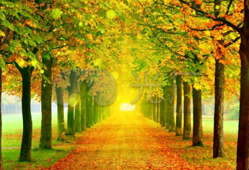 1689460145698793.png image.png