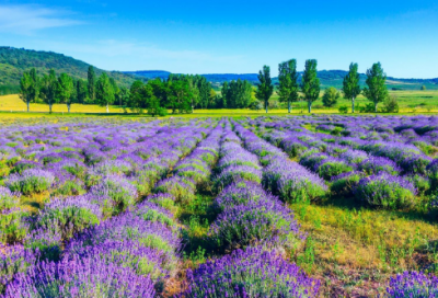​心里憋屈难受的句子(心情不好想哭的憋屈难受句子)