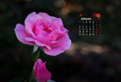 ​离开家乡不舍心情说说短句精选10句