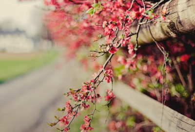 ​朋友圈晒美食说说心情短语(家乡美食发朋友圈说说心情短语)