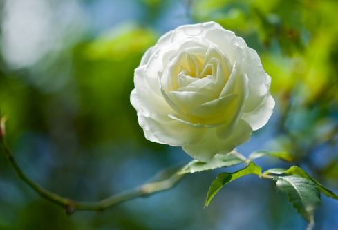 1689489173668344.png image.png