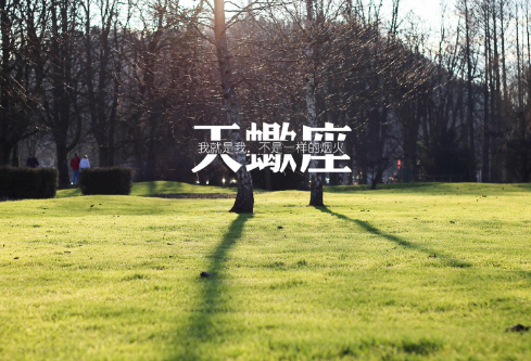 1689491335205695.png image.png