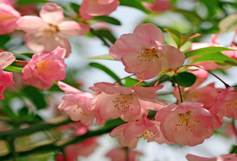 1689497298375399.png image.png