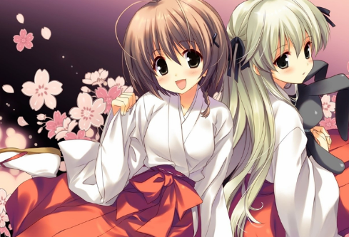 1690347586418300.png image.png