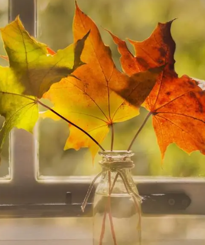 1690359009773476.png image.png