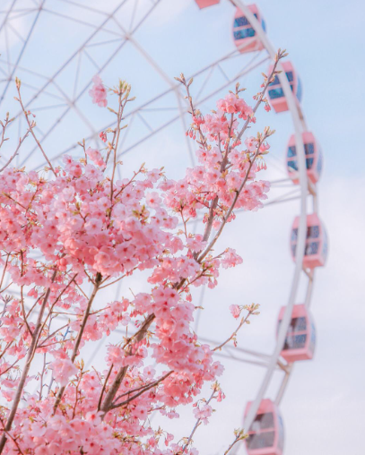 1690359027390252.png image.png