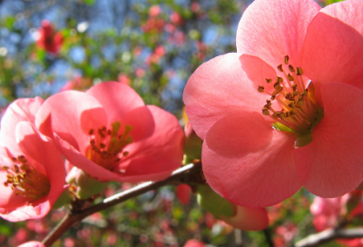 ​周六早上朋友圈文案