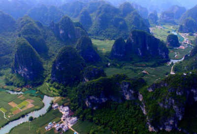 ​树的朋友圈文案