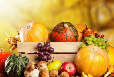 ​童年朋友圈的文案怎么写