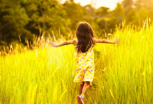 1691036747821170.png image.png