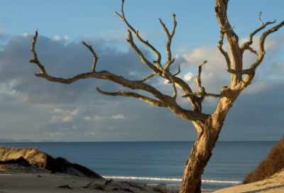 ​爱情里的语录 【爱情中的金句】