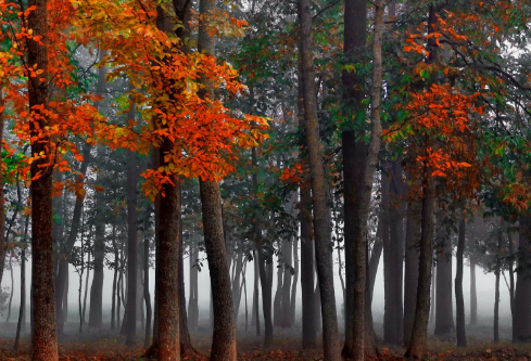 1691130119894902.png image.png