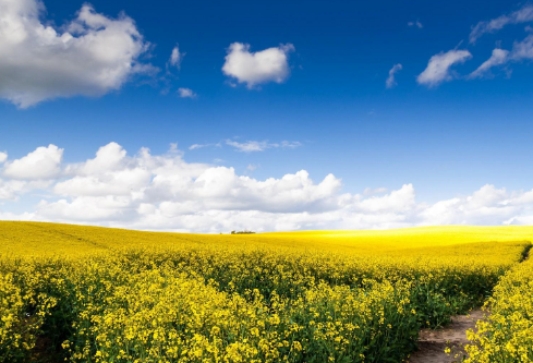 1691130617584935.png image.png