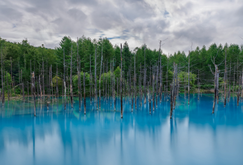 1691131447232349.png image.png