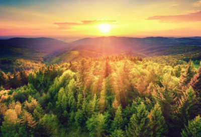 ​描写爱情的伤感句子 【100句精选】