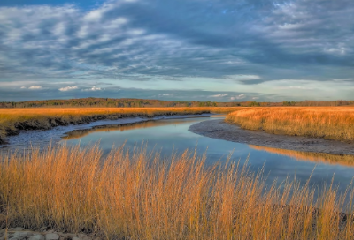 ​爱情物质经典语录 【物质的爱情经典语录】