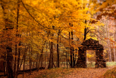 ​烟花与爱情的伤感句子 【100句精选】