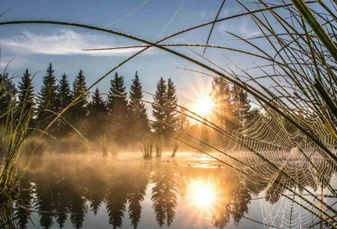 1691135770210204.png image.png