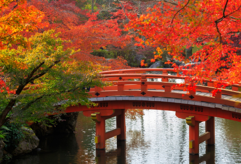 1691135937136711.png image.png