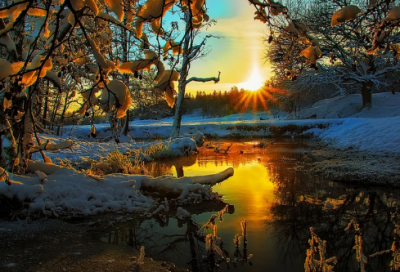 ​爱情名人名言短句大全摘抄 【100句精选】