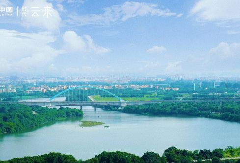 1691138925457181.png image.png