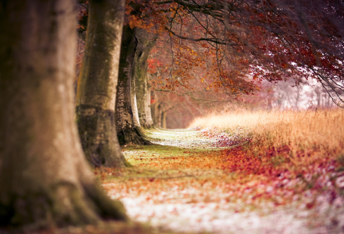 1691140419315369.png image.png