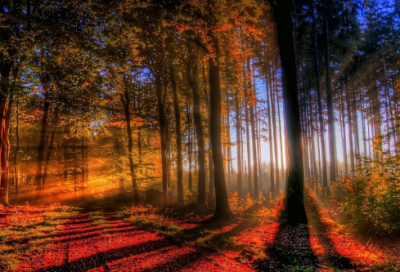 ​鼓励爱情坚持下去的短句 【100句精选】