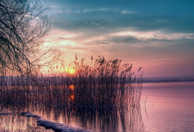 ​简简单单的爱情语录 【简单的爱情说说短句】