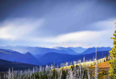 ​希望爱情长久的唯美句子短句 【100句精选】