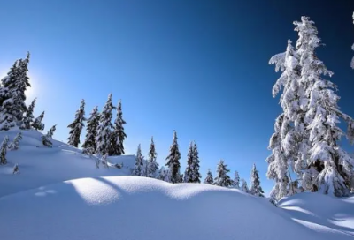 ​瑞鹤仙经典语录 【瑞鹤仙经典语录生活支出】