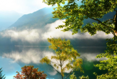 ​经典语录爱情句子 【经典语录爱情句子简短】