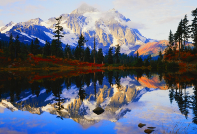 ​不问感情的经典语录 【不问爱情】