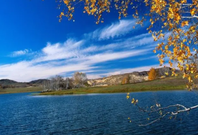 ​跟党走的经典语录 【跟党走,感恩党,听党话 演讲稿】