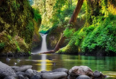 1691145152997858.png image.png