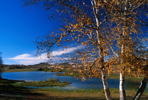 1691147404632626.png image.png