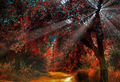 ​伤感爱情经典语录短句 【100句精选】