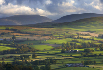 ​四个字爱情短句 【100句精选】