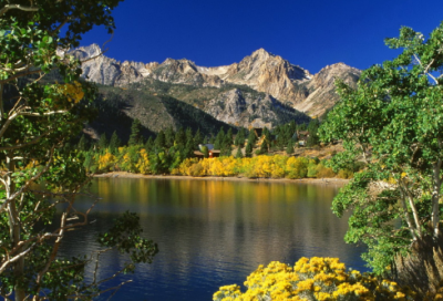 ​爱情进化论经典语录 【爱情进化论名句】