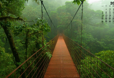 ​爱情心灵鸡汤短句 【100句精选】