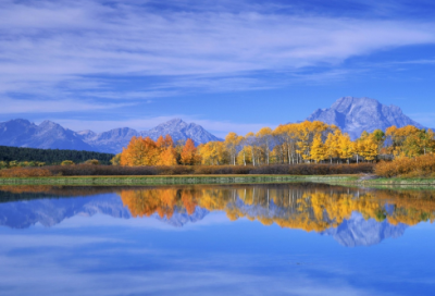 ​爱情幸福语录短句子 【100句精选】