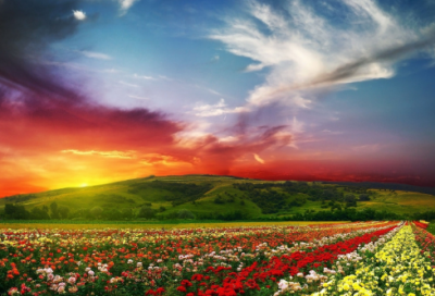 ​伤感离别爱情的古风句子 【100句精选】