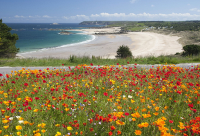 ​一到十的爱情短句 【100句精选】